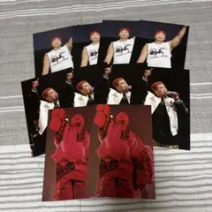 LIKIYA PRIMAL SPIDER ポストカード