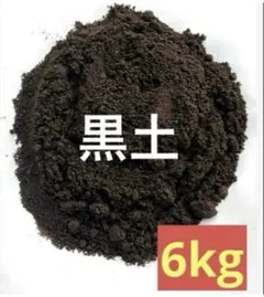 黒土　泥遊び　保育園保育園　園芸　ガーデニング　泥団子