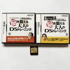 脳を鍛える& もっと脳を鍛える大人のDSトレーニング 漢検DS3 デラックス