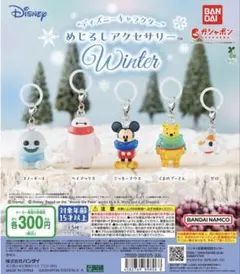バラ売り可！◎ディズニーキャラクターめじるしアクセサリーWinter