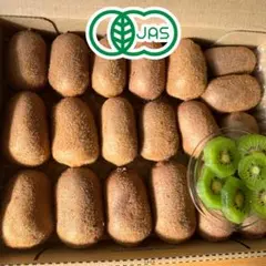 - ̗̀⚠︎ ̖́- 訳あり 有機栽培 キウイフルーツ 約1kg 【コンパクト便】