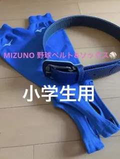 Item thumbnail for item 3f525d83-12b1-46e0-bc20-2be1c0c2cb88