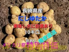 長崎県産 じゃがいもB品 訳あり品 にしゆたか 箱込み10キロのサムネイル