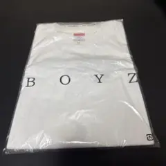 Item thumbnail for item 9c33bc67-f647-4727-93be-dab41d2807f9