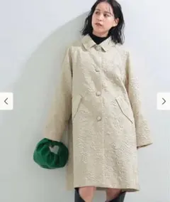 ray Beams フクレジャガードステンカラーのサムネイル