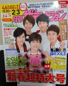 月間テレビジョン　嵐　2015年2月号