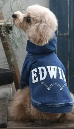 EDWIN/デニムライクロゴパーカー　犬のサムネイル