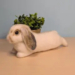羊毛フェルト　うさぎ　まったりのびーるホーランドロップ ｒｉｉｉｉ様専用