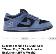 Supreme x Nike SB Dunk Low Ocean Fog29cm