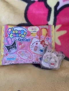サンリオ　パッケージチャーム　ポチャッコ