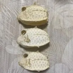 2026年最新】フグ標本の人気アイテム - メルカリ