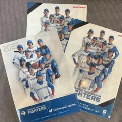 2026年最新】日本ハムファイターズクリアファイルの人気アイテム