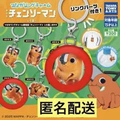 つながリングチャーム 劇場版『チェンソーマン レゼ篇』ポチタ A.D