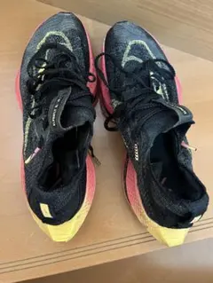 24.0cmナイキ　エア ズーム アルファフライ ネクスト%2