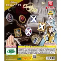 【新品・未使用】 ディズニープリンセス キャンバスリング 計３点