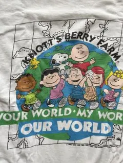 90s USA製 フルーツオブザルーム プリント Tシャツ 古着 - メルカリ