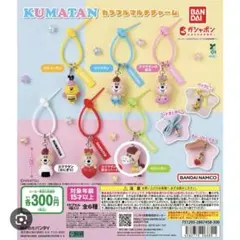 くまたんカラフルマルチチャーム