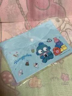 ハンギョドン　A5サイズ　スナップケース　サンリオ　新品未開封品