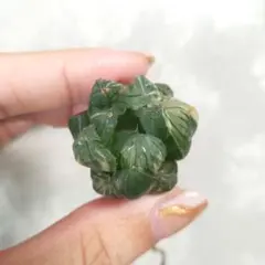 水中月錦 オブツーサ錦 ハオルチア 多肉植物 透明 窓 糊斑のサムネイル