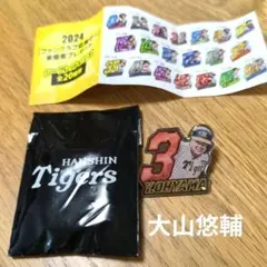 2025年最新】阪神タイガースピンバッジの人気アイテム - メルカリ