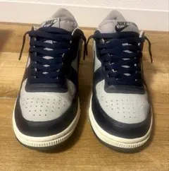 NIKE TERMINATOR LOW FN6830-001 27cm