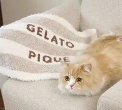 Item thumbnail for item 4aca0e81-cf8a-4392-b9a9-8fb2d957e789