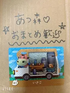 あつ森amiibo⭐︎いさこ