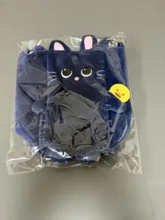 RIIZE 東京ドーム　ペンラバッグ　ファンライトケース　ウォンビン