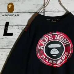 【即完売モデル】アベイシングエイプ☆センターロゴ　スウェット　袖ロゴ　裏起毛