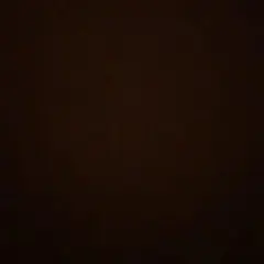 がじゅこ様専用