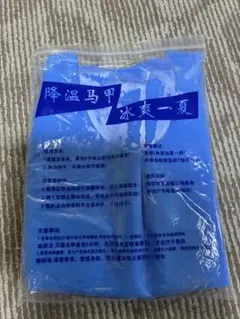 Item thumbnail for item 6f57caa7-667f-4c5d-95af-0df66f894ad3