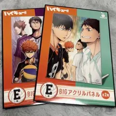 ハイキュー!! BIGアクリルパネル 全2種【コンプリート】