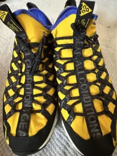 希少30cm 室内履きのみ 極美品 NIKE ACG テラゴービー US12 黒