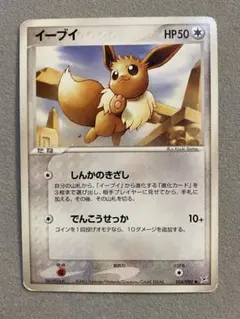 イーブイ_プレミアムファイル2 PROMO 第2世代（☆neo・☆VS・☆we