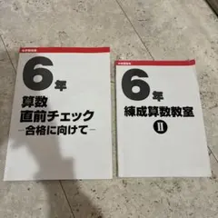 日能研2025年度　6年生 練成算数教室　直前チェックのサムネイル
