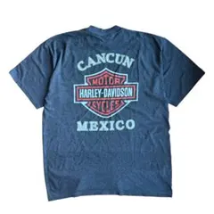 ビンテージ ハーレーダビッドソン Tシャツ XL メキシコ製 古着 ハーレー