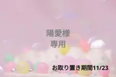 陽愛様❁⃘*.゜専用ページ