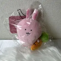 【新品未開封】ナガノキャラクターズ FRIENDSマスコット 兎