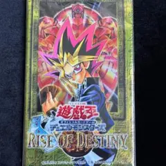 遊戯王OCG RISE OF DESTINY 未開封パック - メルカリ