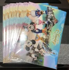 【新品未使用】東京ディズニーリゾート クリアファイル A4 20枚セット