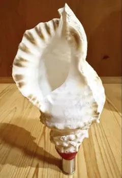 Item thumbnail for item 64af80d5-abe6-4c75-b408-84a224e00e7d