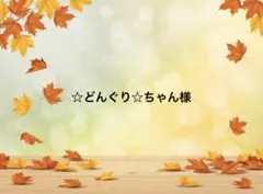 ☆どんぐり☆ちゃん様