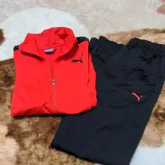 PUMA　プーマ　上下セット　XS