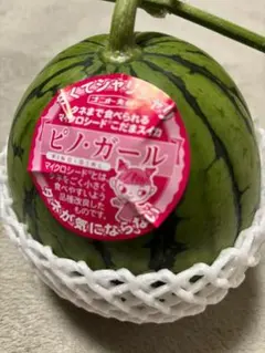 2025年最新】ピノガール スイカの人気アイテム - メルカリ