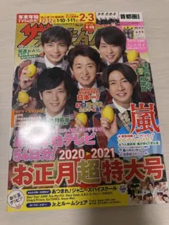 ザ・テレビジョン お正月超特大号 2020-2021