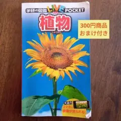 Item thumbnail for item 405d3f28-9b67-43d7-92e9-d0c5d44cdd5f