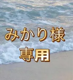もれなくおまけも付きます 　みかり様専用　　2枚セット　　タトゥーシール