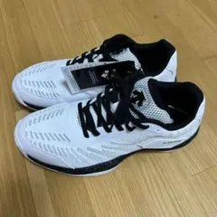 Item thumbnail for item 5a6a7fef-aba1-410b-ab95-4373503b4b35