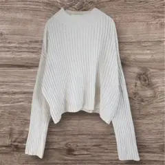 ザラ リブハイネックニット ボリューム袖 クロップド丈 白 164 S〜M