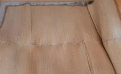 Item thumbnail for item 7b0acc81-86f0-47a5-bda3-6ad5fb637c49